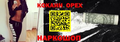 гашик Аргун