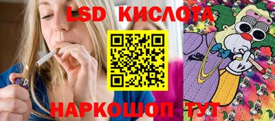 гашик Аргун