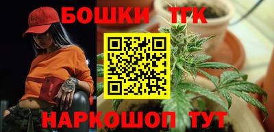 гашик Аргун
