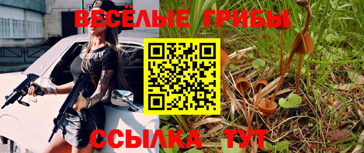 Великие Луки  Псилоцибиновые грибы Psilocybe  Вход с VPN 